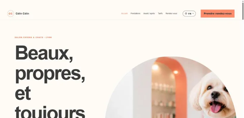 Aperçu du site Câlin Câlin