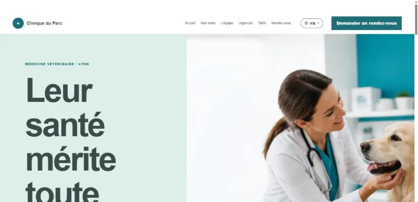 Aperçu du site Clinique du Parc