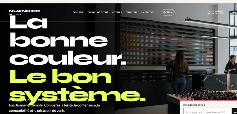 Aperçu du site Nuancier Pro