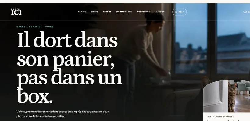 Aperçu du site Reste Ici