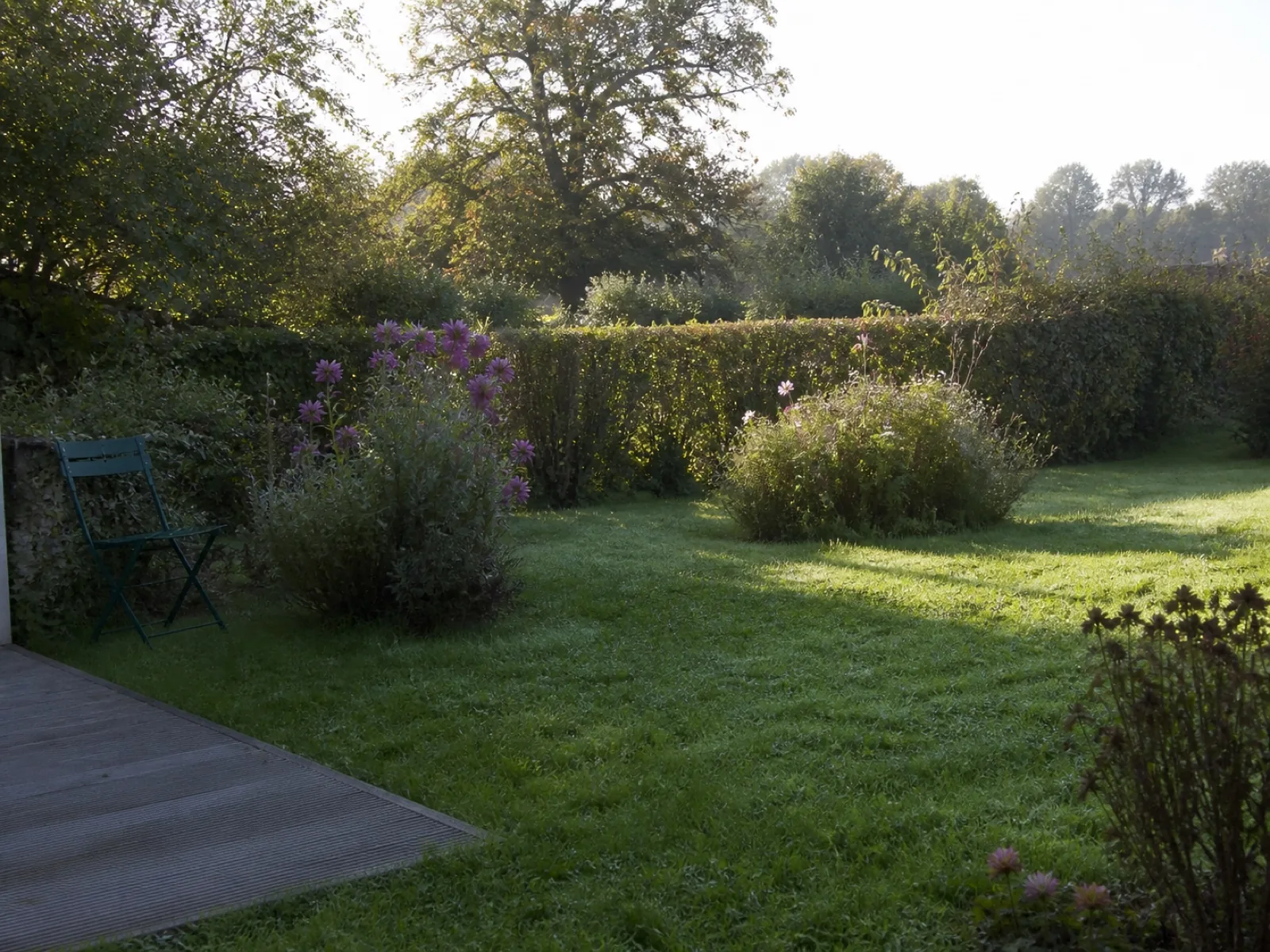 Jardin rennais entretenu dans une lumière du matin