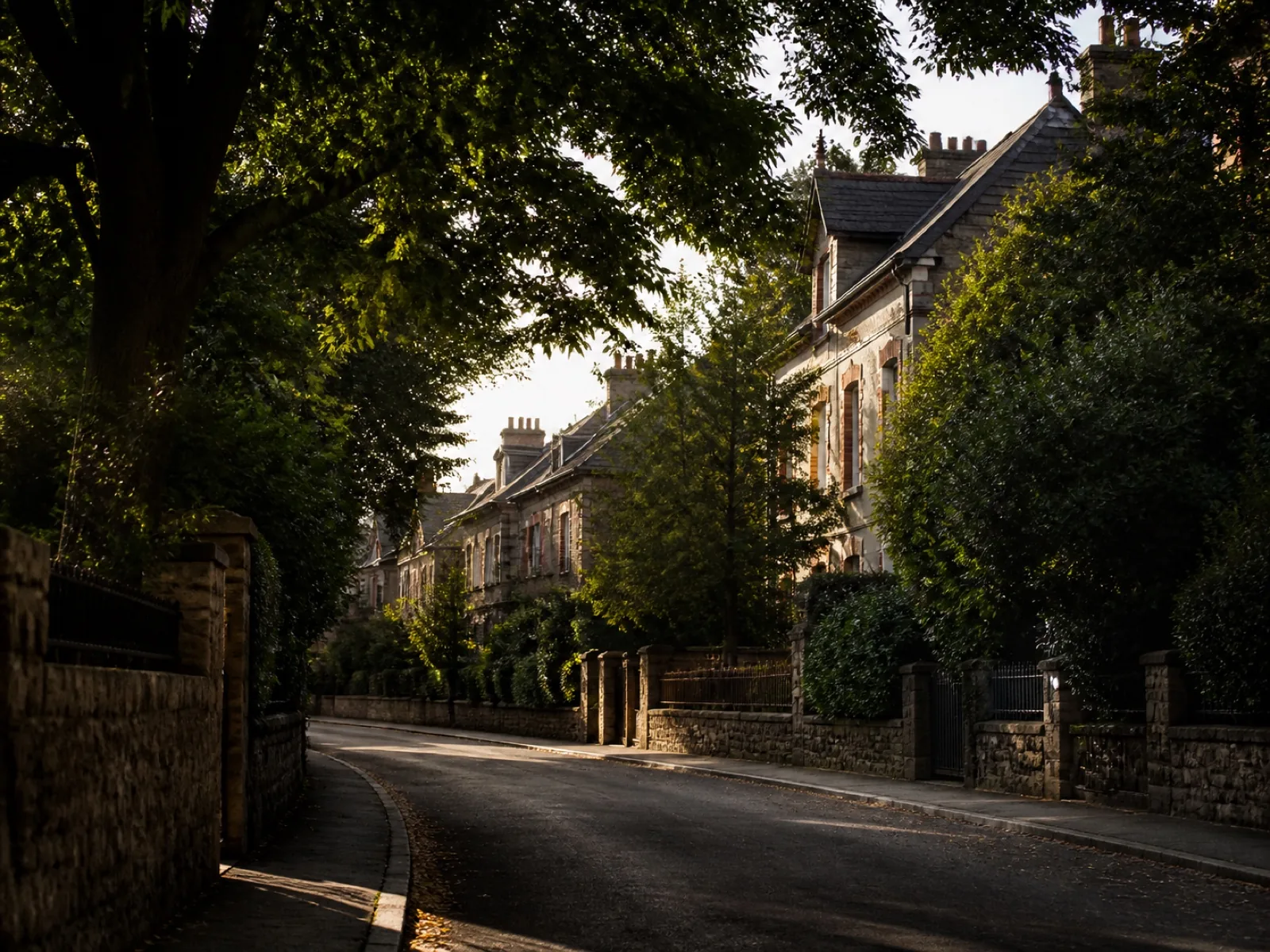 Rue résidentielle arborée à Rennes sans personne