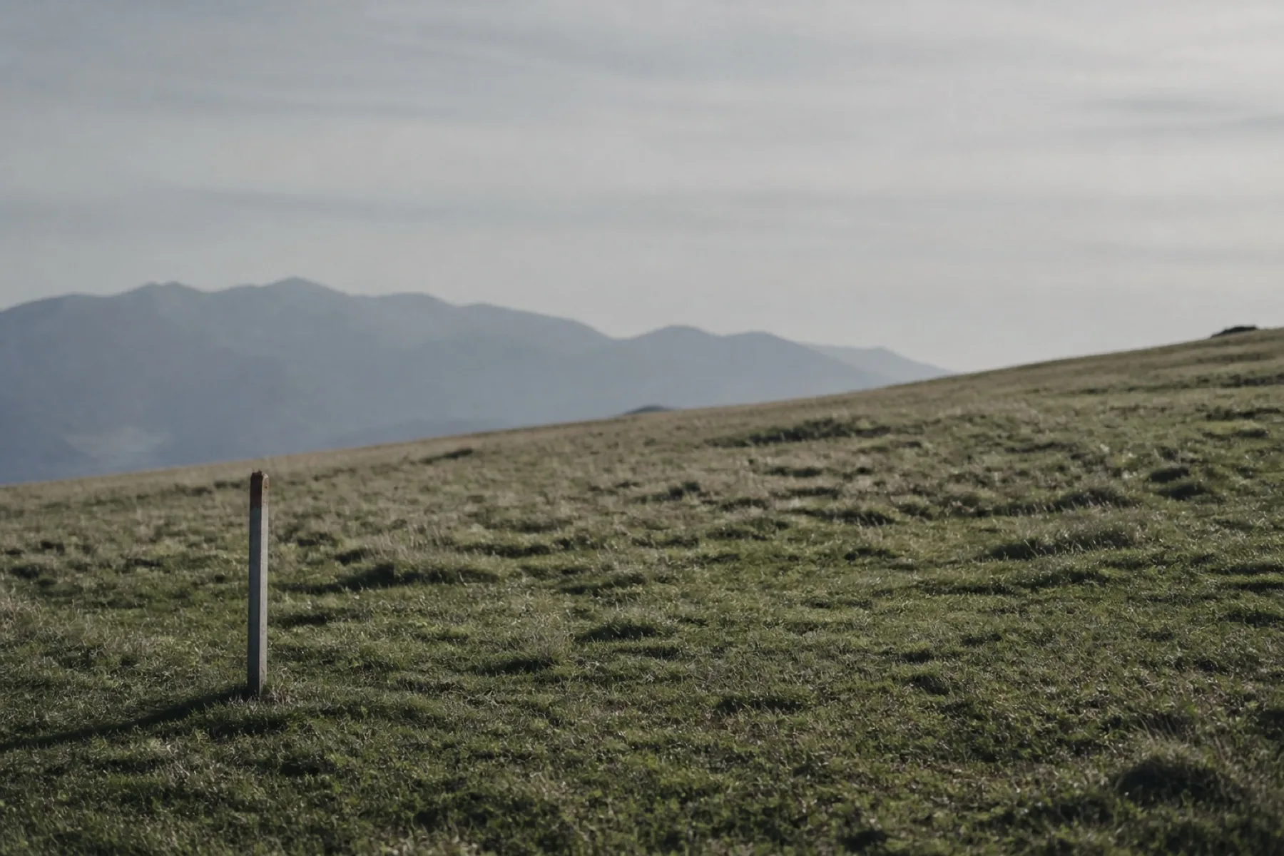 Terrain constructible à Saint-Jorioz