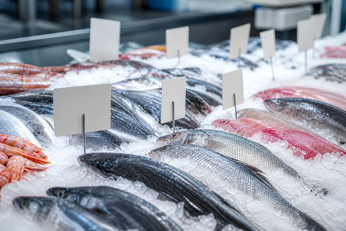 Étiquettes vierges alignées au-dessus des poissons sur glace
