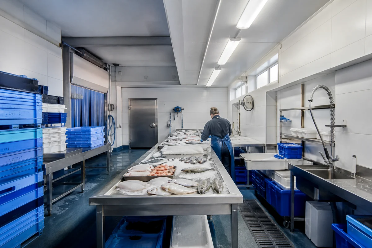 Laboratoire propre de la poissonnerie avec table inox et bacs bleus