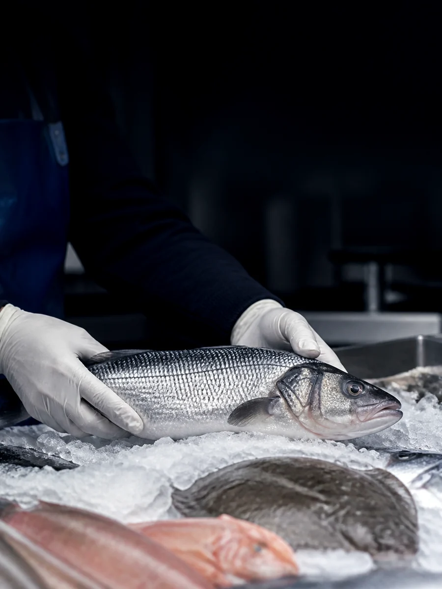 Bar entier présenté dans les mains du poissonnier
