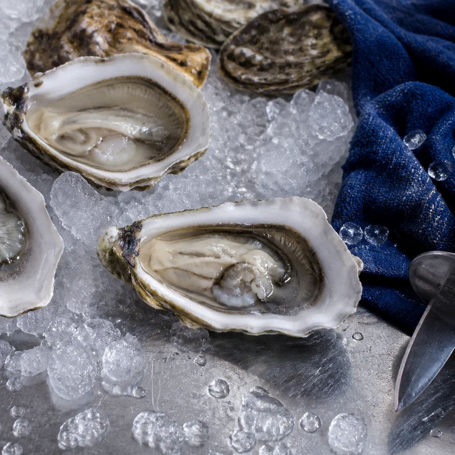 Coquillages ouverts sur glace avec un couteau