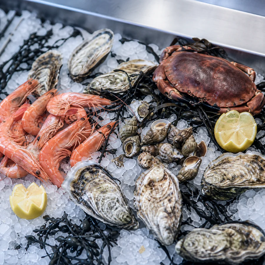 Vue rapprochée d’un plateau de fruits de mer